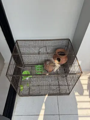 Bird Cage