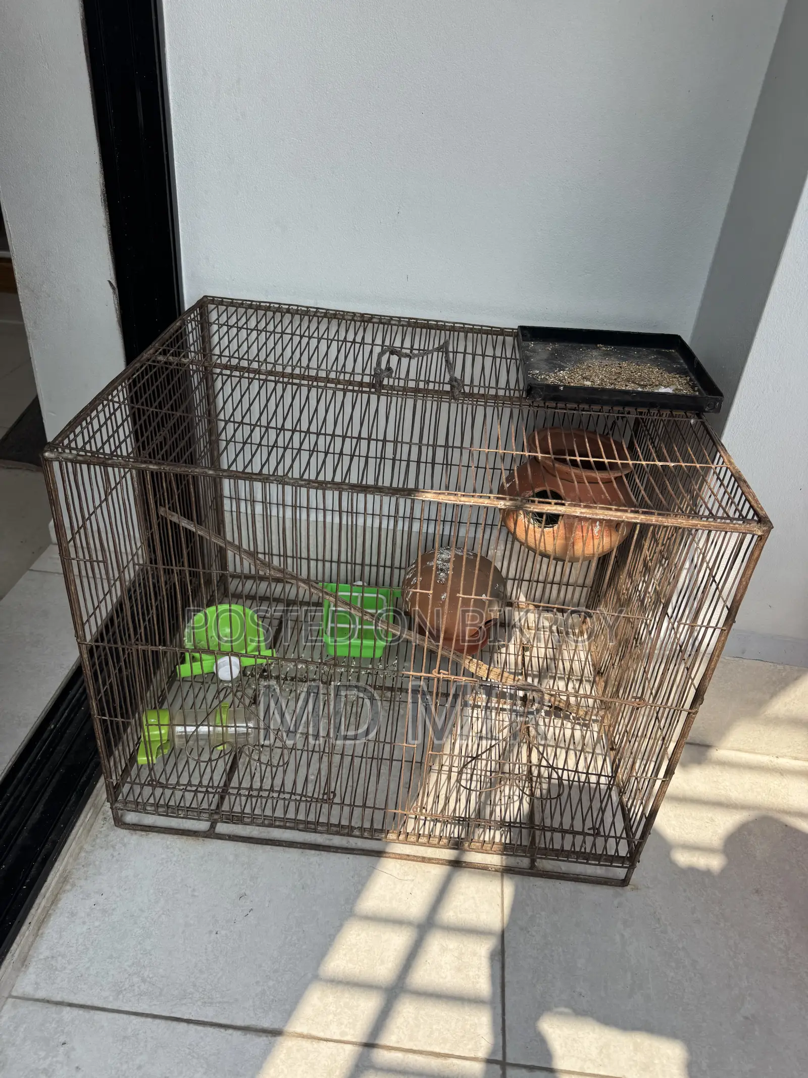 Bird Cage