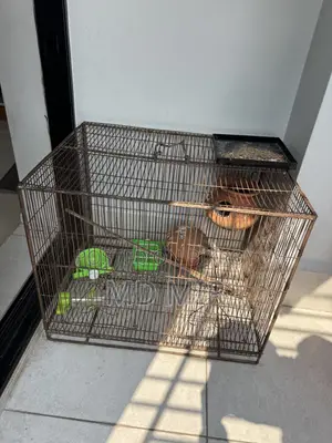 Bird Cage