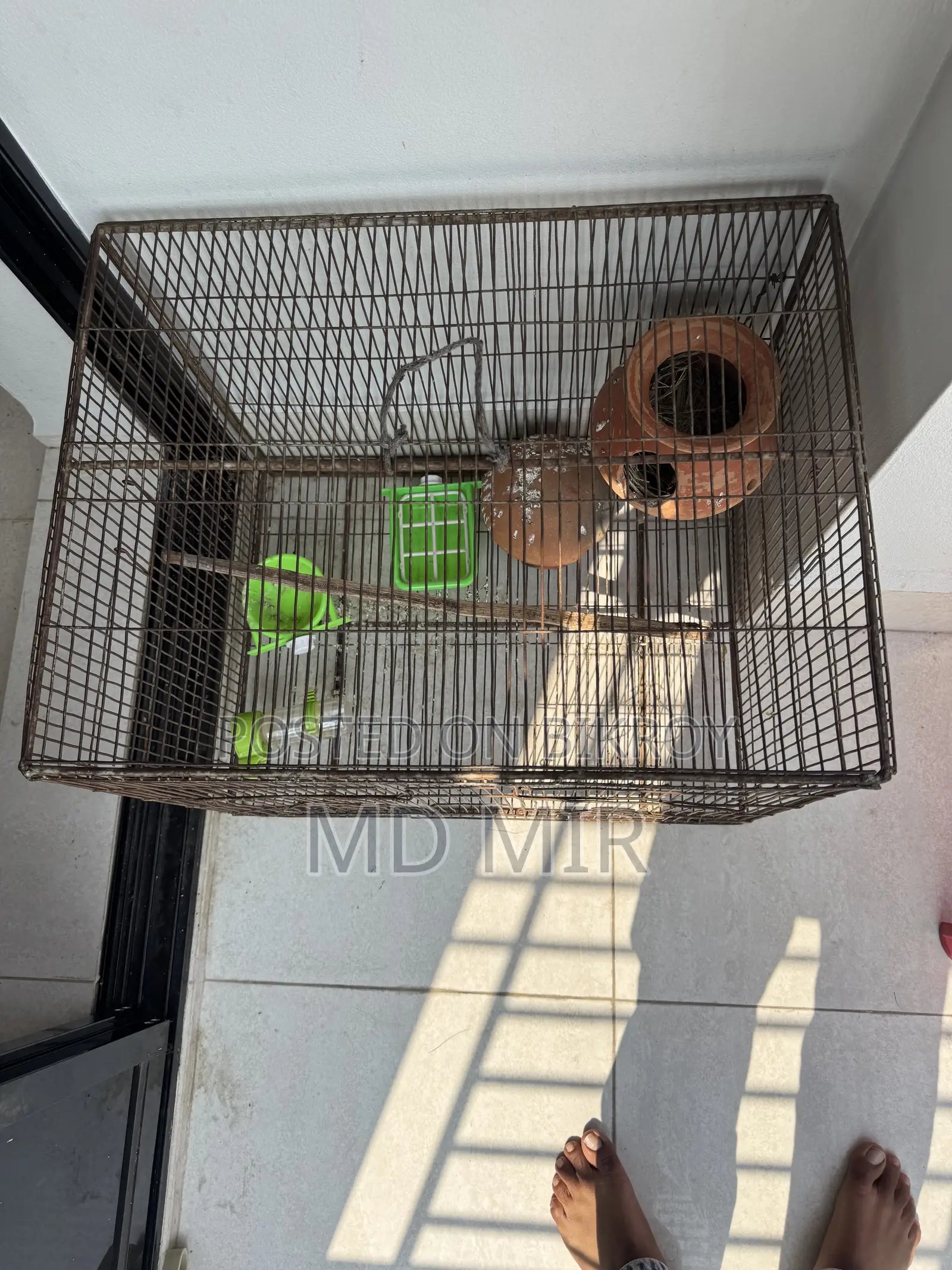 Bird Cage