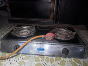 ELECTRO Stainless Steel Double Burner Gas Stove for Sale