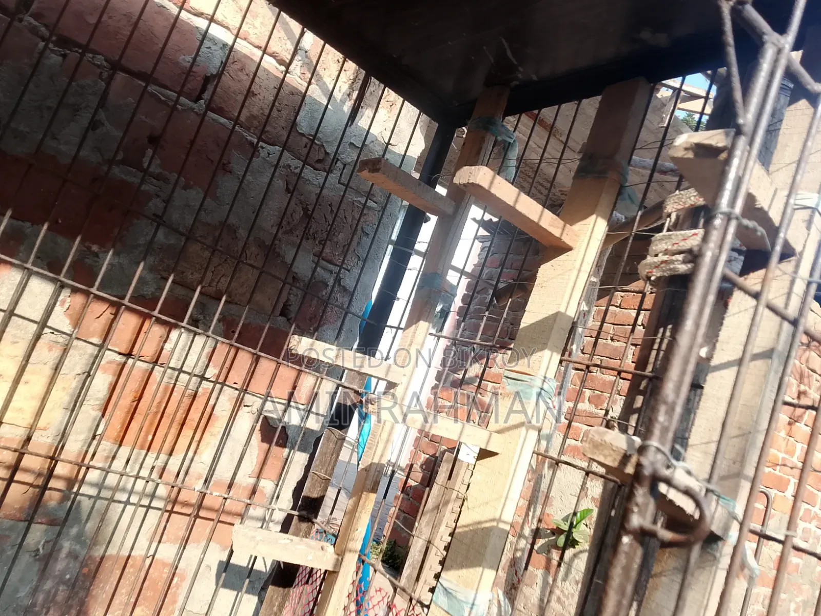 ঢাপরি সেল হবে