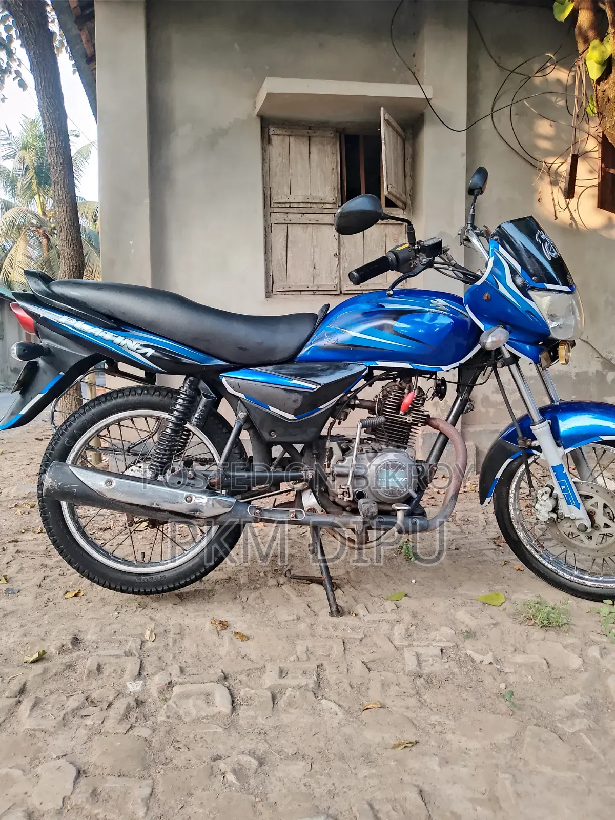 Bajaj Platina 100 2012 Blue
