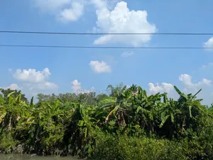 ২.৩৭ শতক জমি বিক্রয় করা হবে