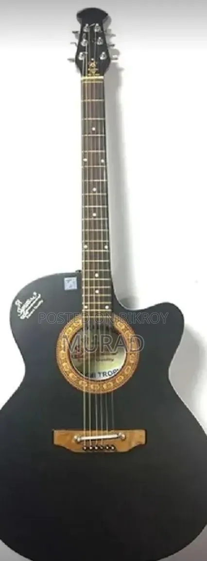 Signature Guitar
