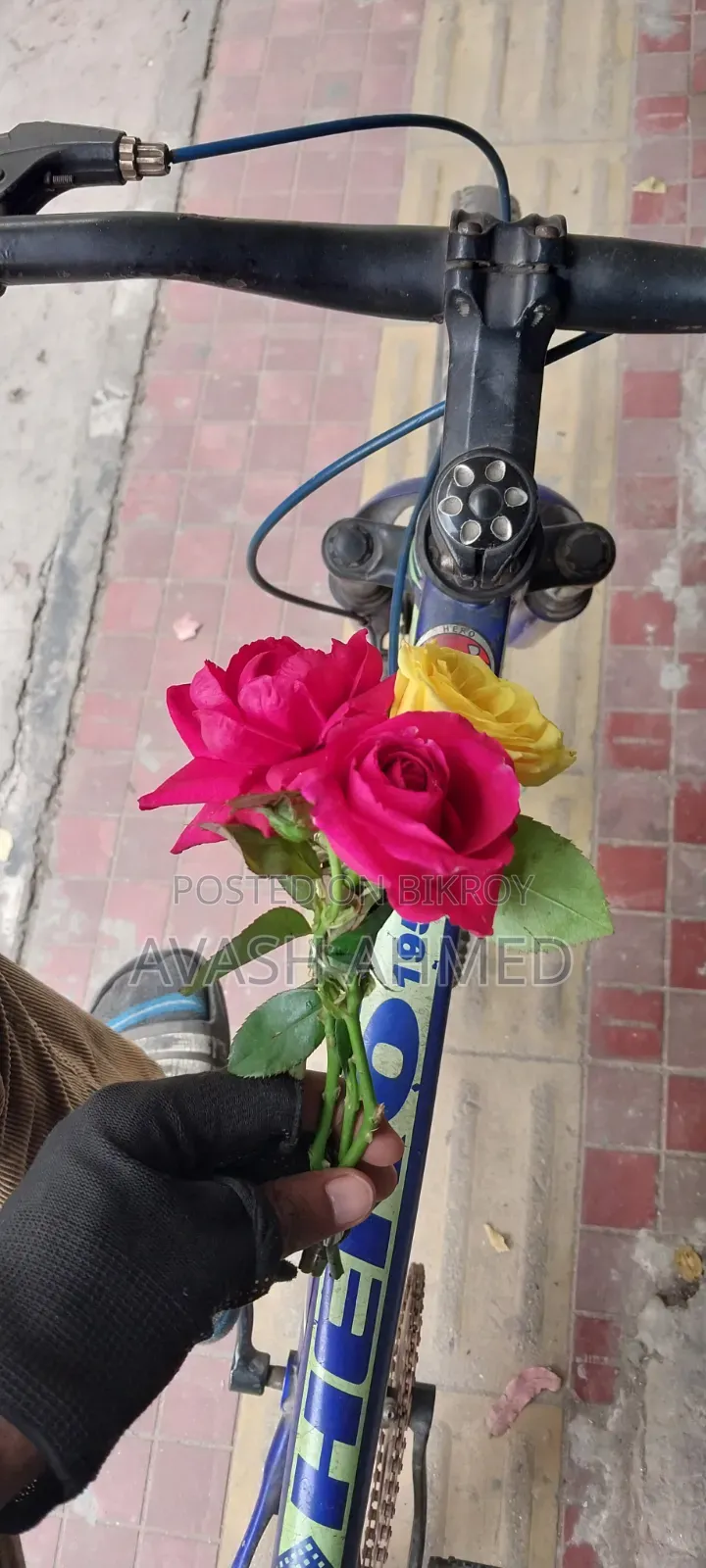Very Good Cycle
