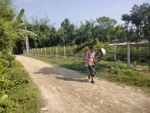 Land for building a house will be sold