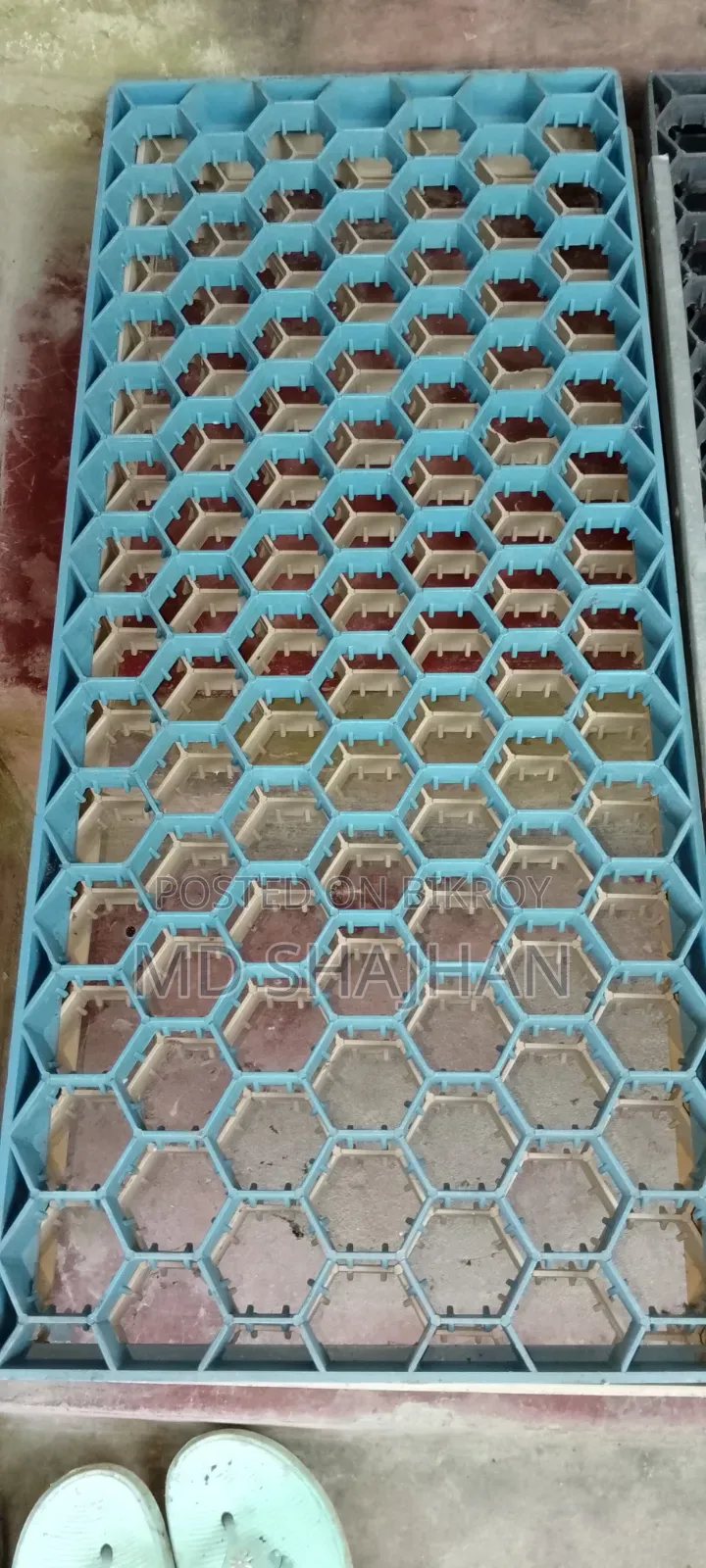 Incubator Setter Tray