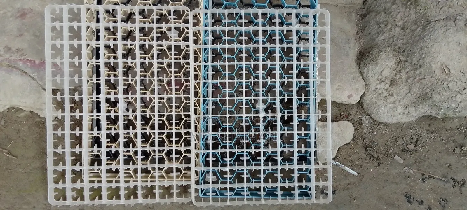 Incubator Setter Tray