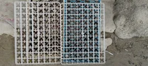 Incubator Setter Tray
