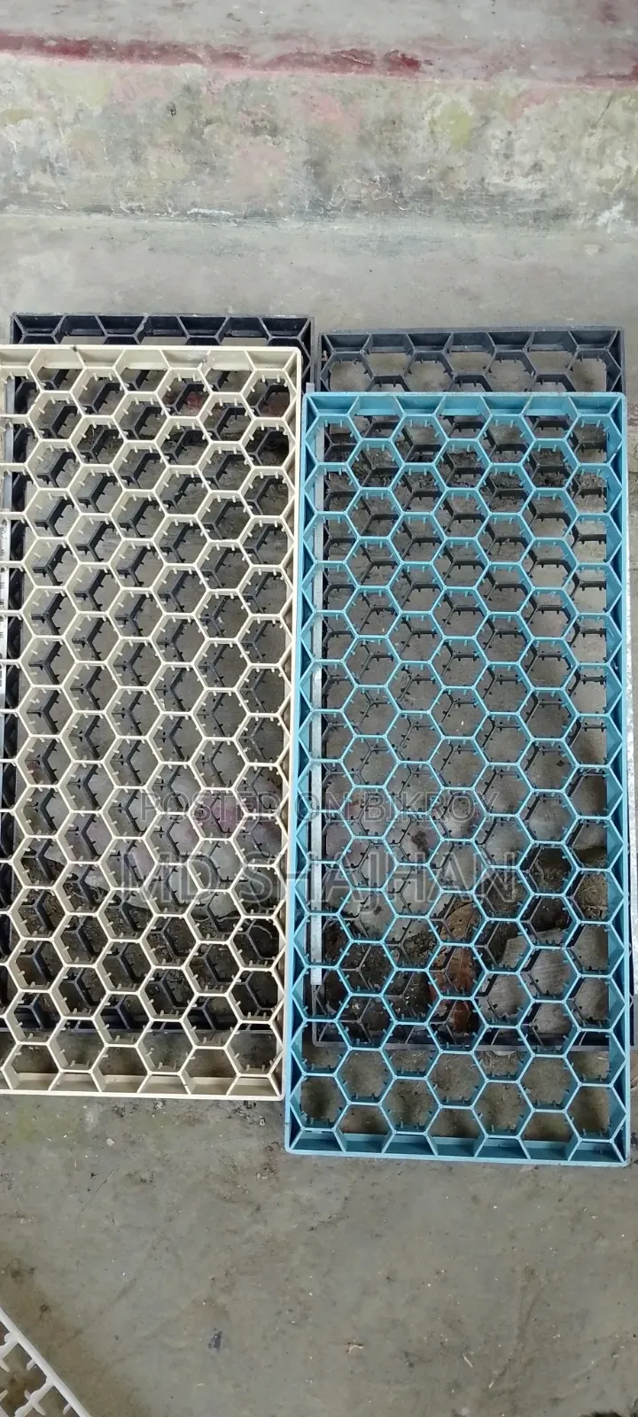 Incubator Setter Tray