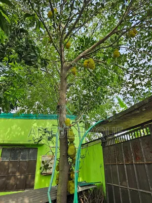 গাজীপুর সদরে ৮ বেডরুমের বাড়ি বিক্রয়ের জন্য
