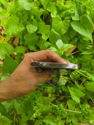 স্যামসাং গ্যালাক্সি এস২৩ আল্ট্রা ২৫৬ জিবি ব্ল্যাক
