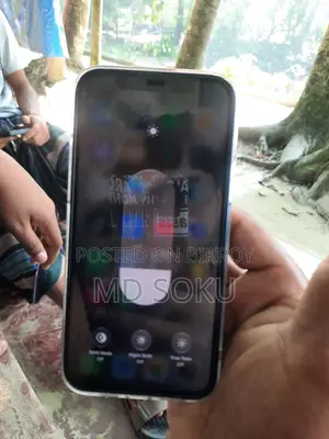 অ্যাপল আইফোন ১২ ২৫৬ জিবি নীল