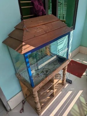 2 Feet Aquarium