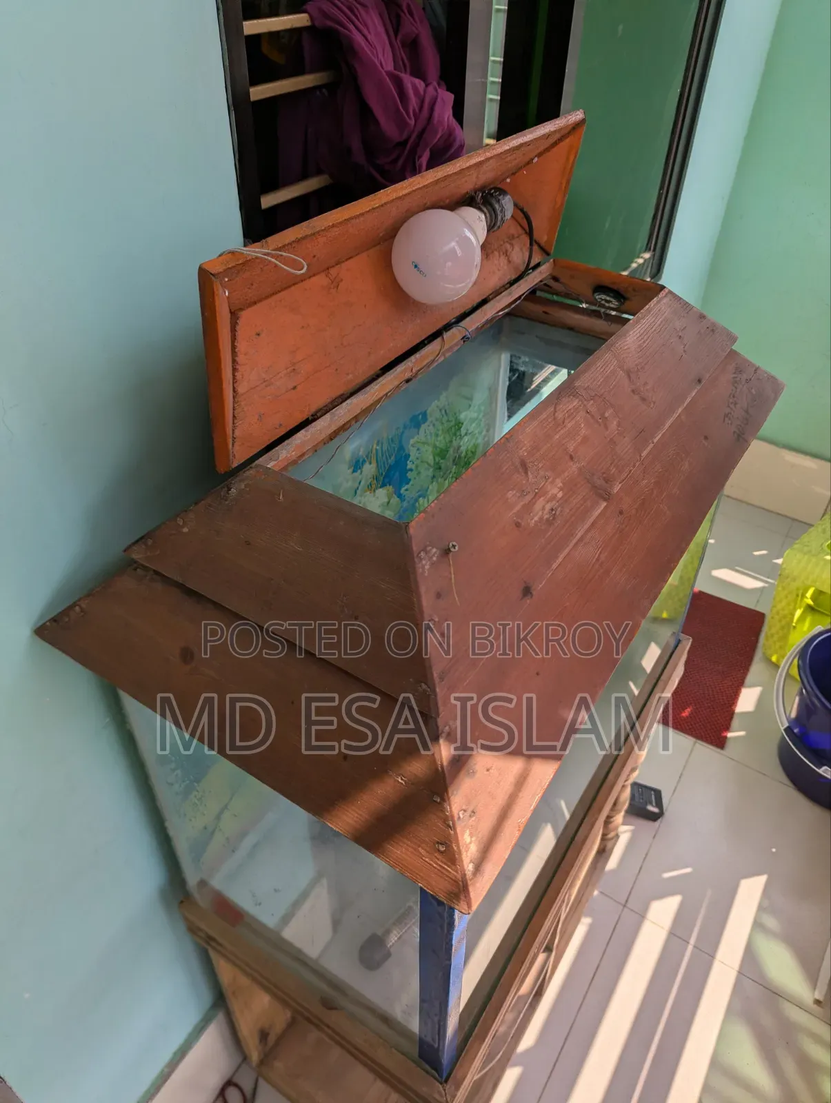 2 Feet Aquarium