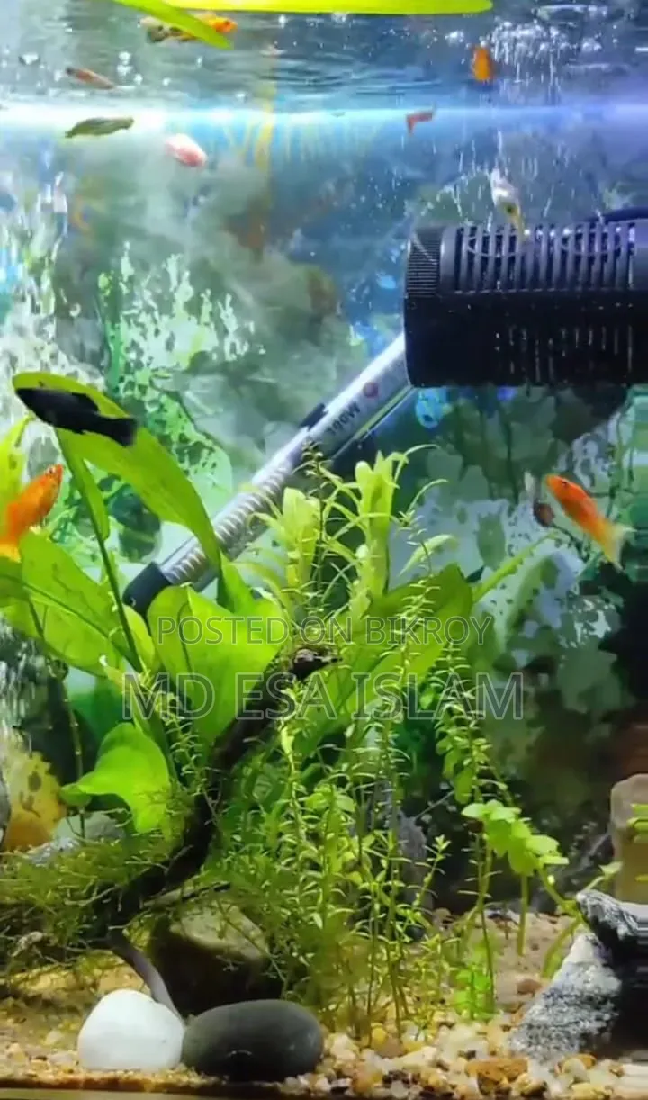 2 Feet Aquarium