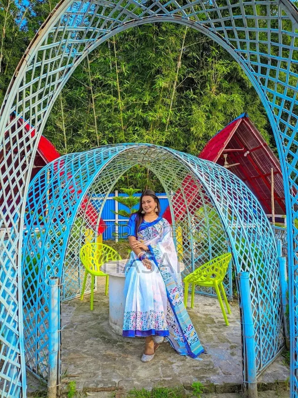 Half Silk Screen Print Saree