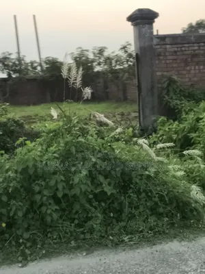 *সেক্টর:২৫,রোড:৩০৪,প্লট:০০,পূর্বাচল।