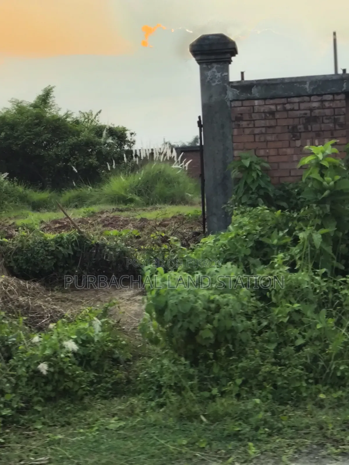 *সেক্টর:২৫,রোড:৩০৪,প্লট:০০,পূর্বাচল।