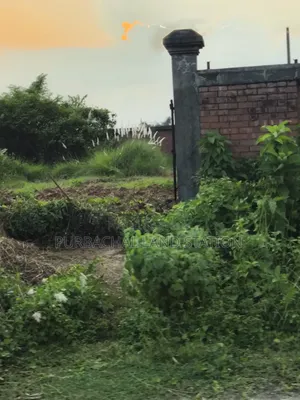 *সেক্টর:২৫,রোড:৩০৪,প্লট:০০,পূর্বাচল।