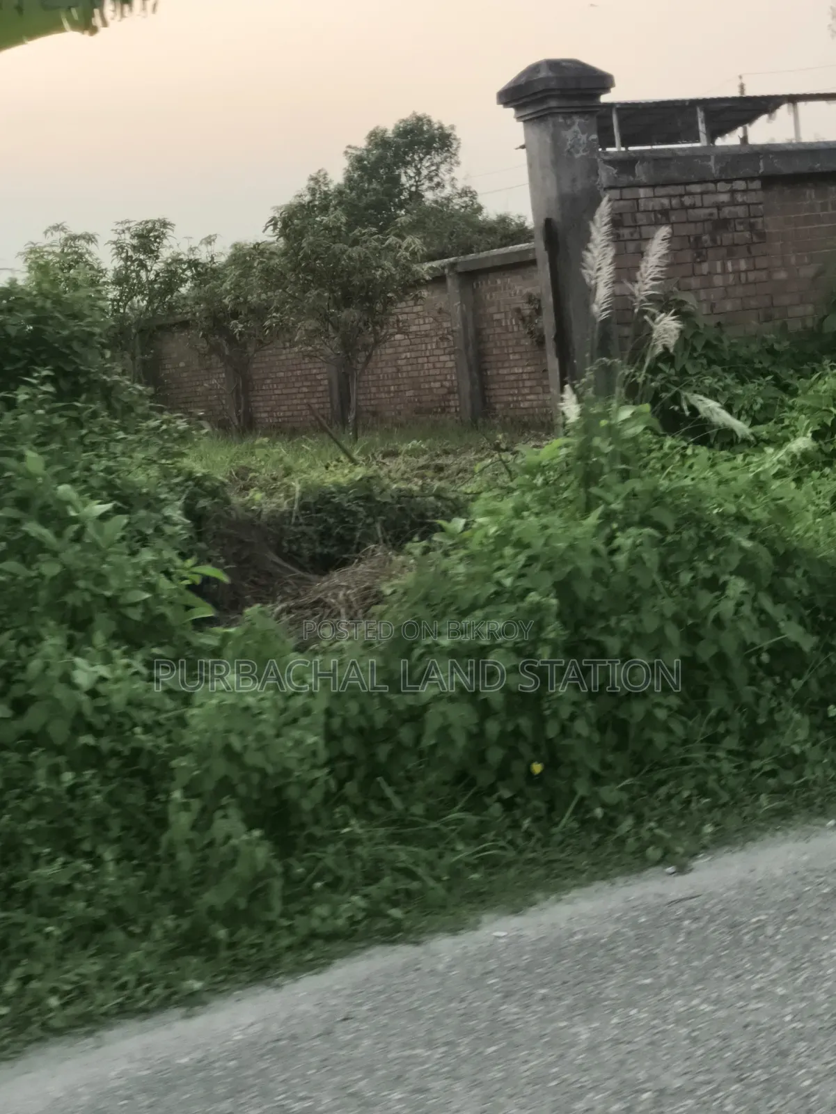 *সেক্টর:২৫,রোড:৩০৪,প্লট:০০,পূর্বাচল।