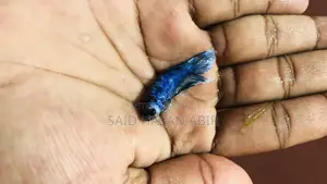 থাইল্যান্ড ইম্পোর্ট বেট্টা ফিশ
