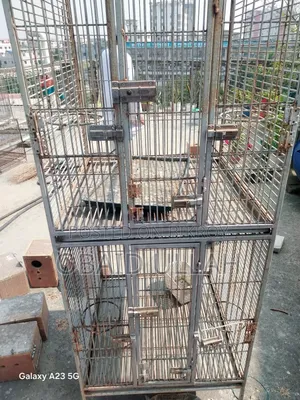 বড় পাখির দোতলা খাঁচা
