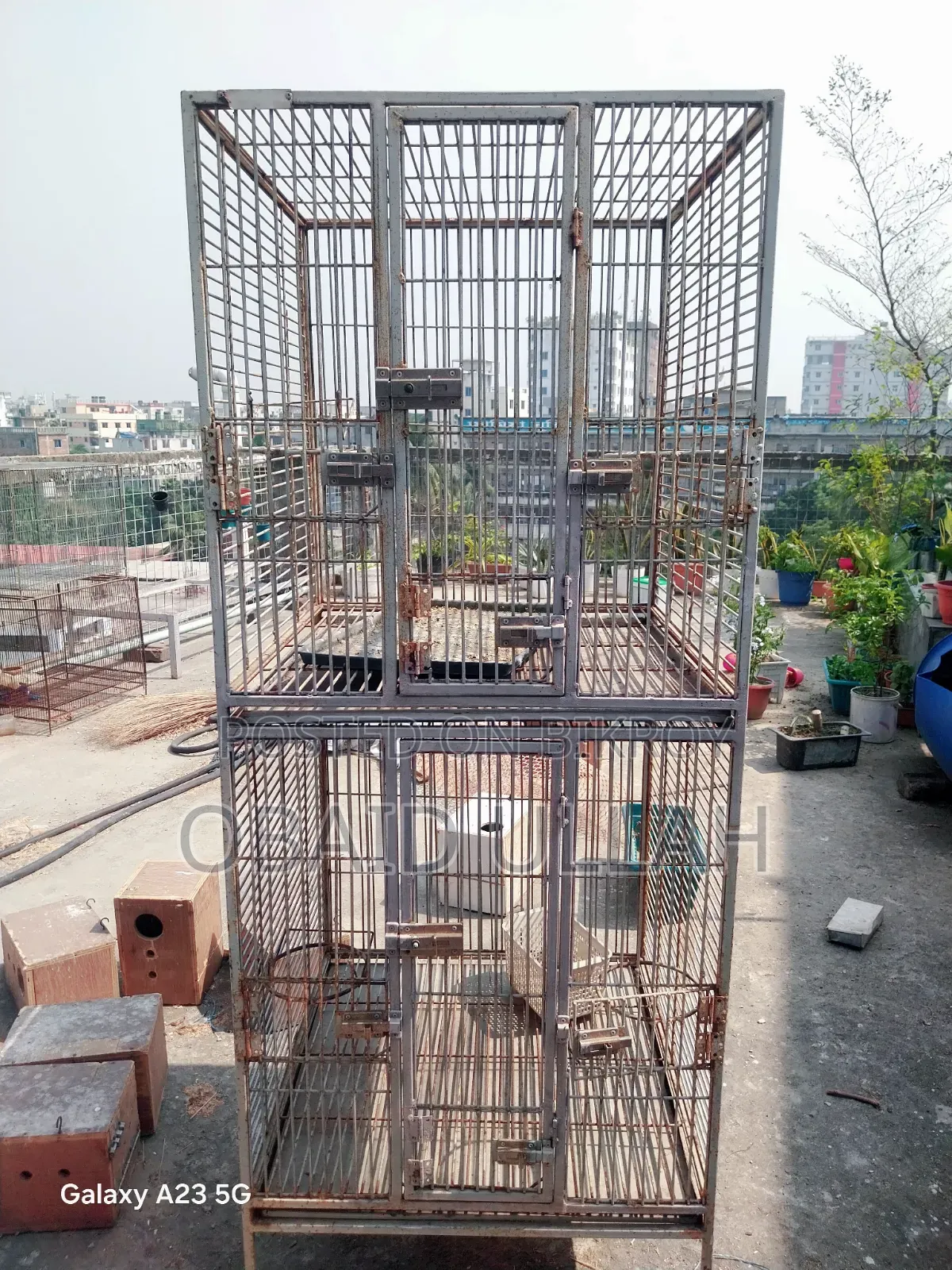 বড় পাখির দোতলা খাঁচা