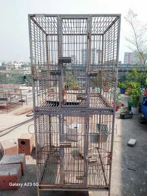 বড় পাখির দোতলা খাঁচা