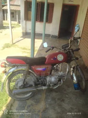 দয়াং ডিওয়াই১০০-এ ২০১০ রেড