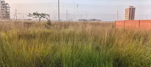 L ব্লক, 3 কাঠা প্লট বিক্রয় বসুন্ধরা, বারিধারা।