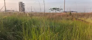 L ব্লক, 3 কাঠা প্লট বিক্রয় বসুন্ধরা, বারিধারা।