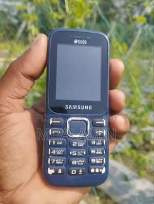 Samsung Guru Music 2 Blue