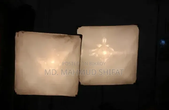 ক্যামেরা + স্টুডিও লাইট
