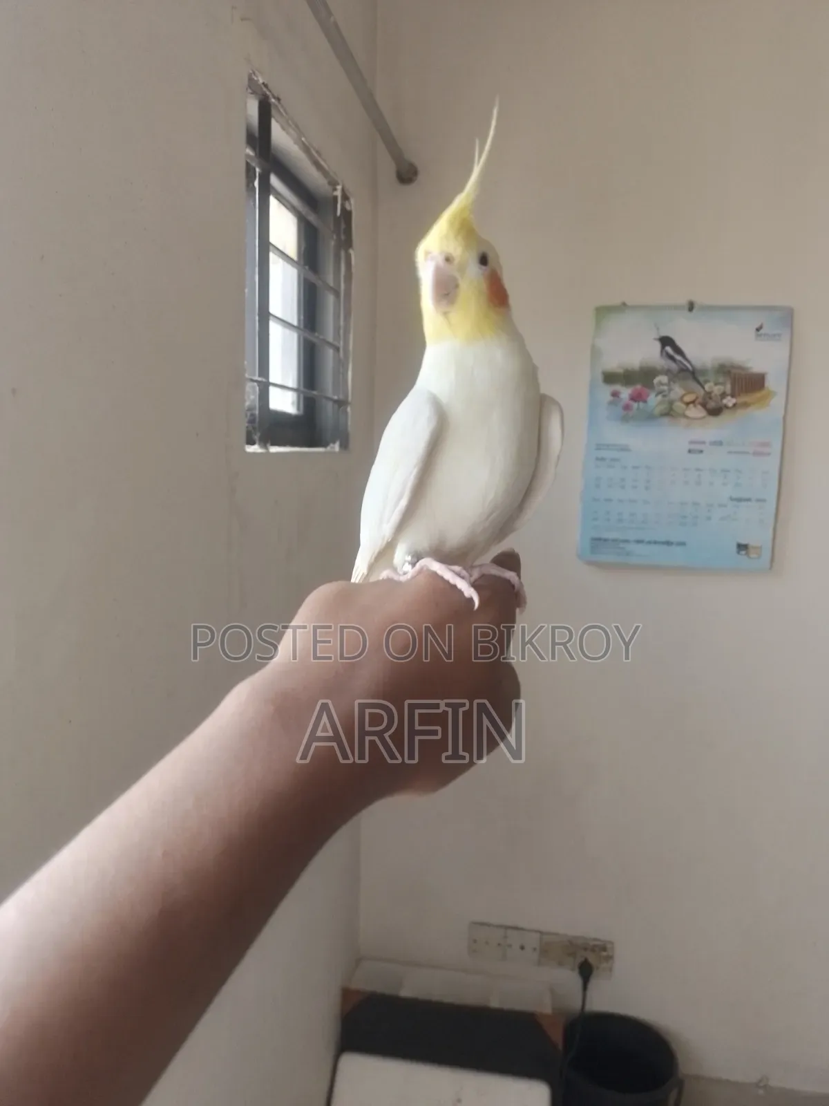 সুপার টিম টকিং ককাটেল মেল