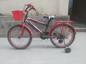 20" Bicycle