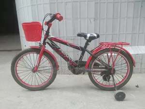20" Bicycle