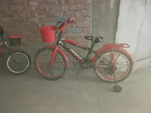 20" Bicycle