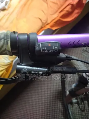 Stunt Cycle