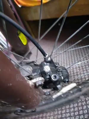 Stunt Cycle