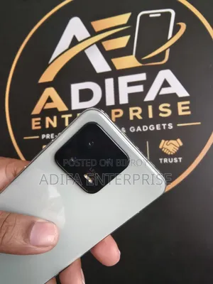 শাওমি ১৩ ৫১২ জিবি ব্রোঞ্জ