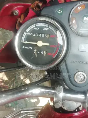 Dayang APOLLO 2018 Red
