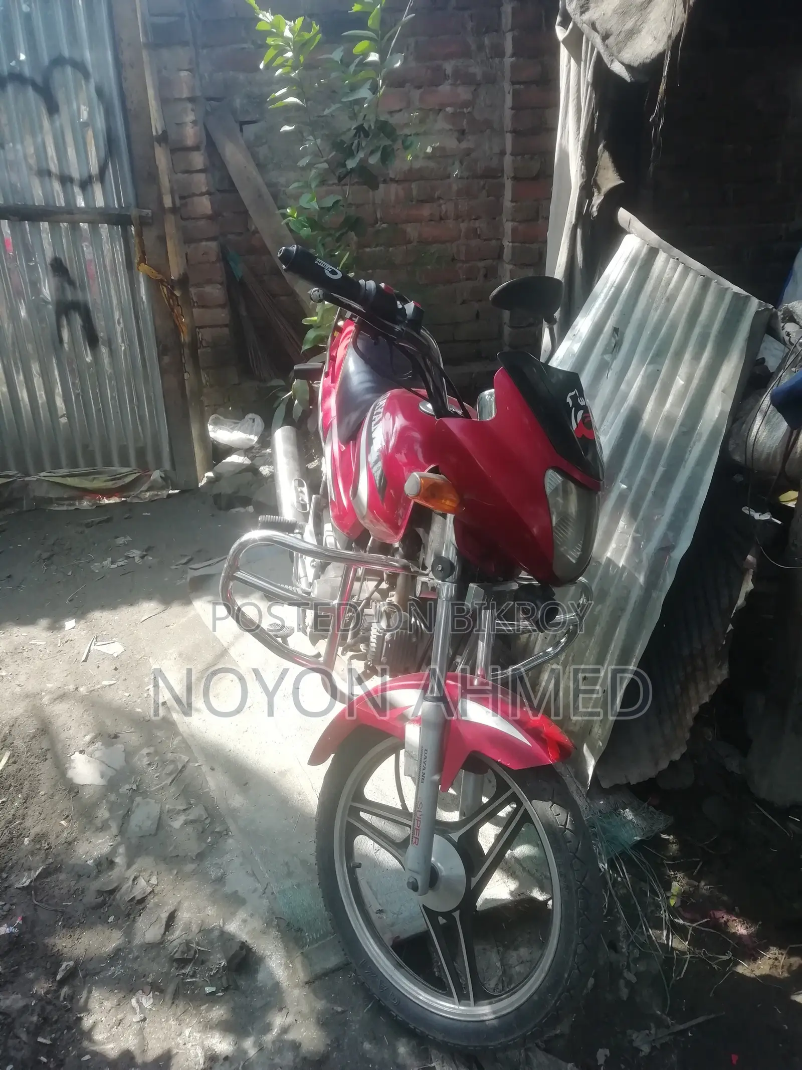 Dayang APOLLO 2018 Red