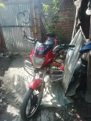 Dayang APOLLO 2018 Red