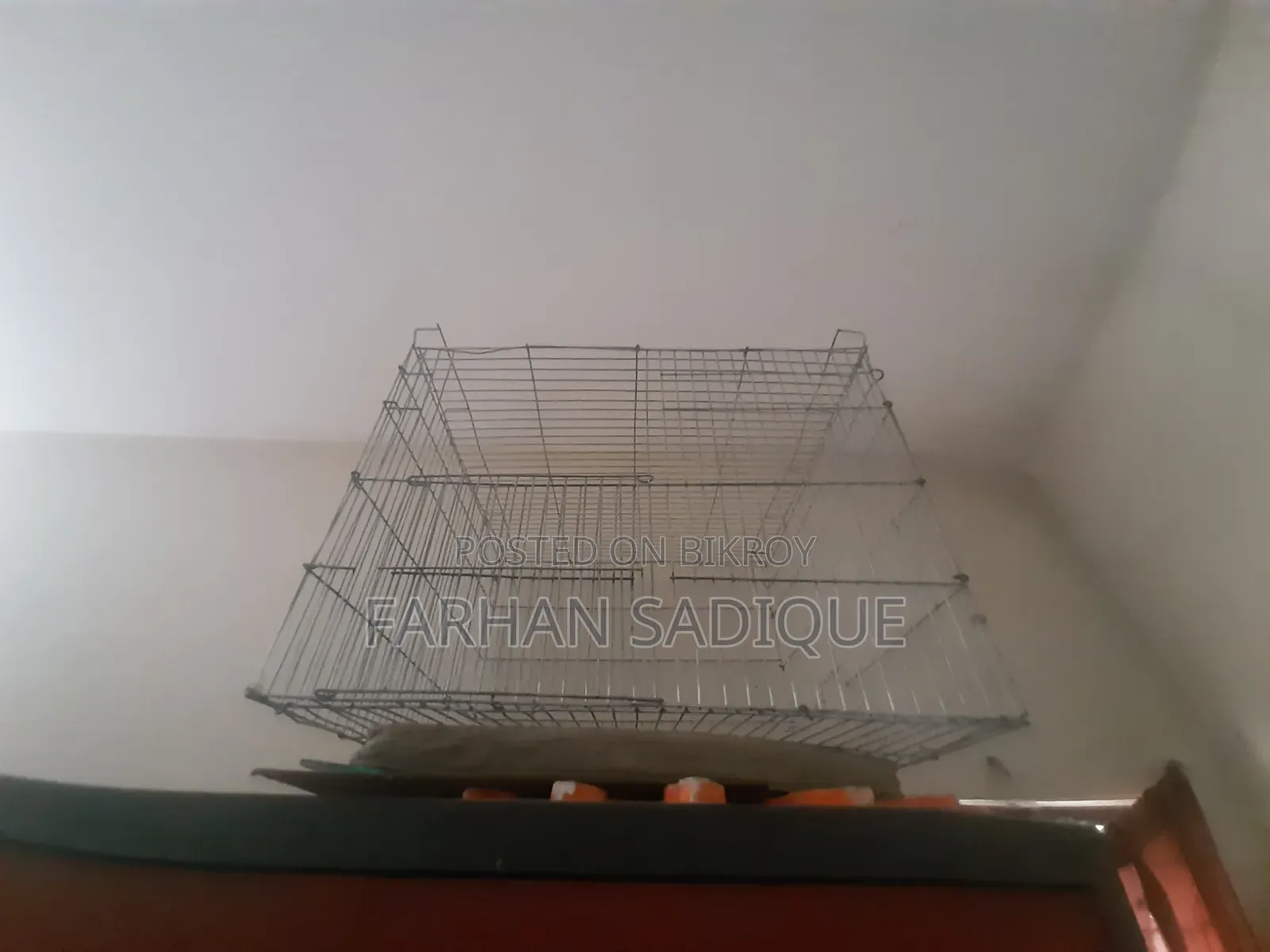 24/24 Cage