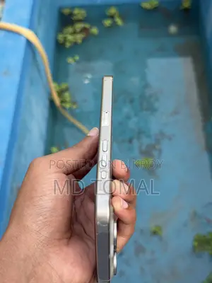 Apple iPhone 15 Pro Max 256 GB Silver