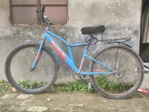 রিফ্লেক্স সাইকেল