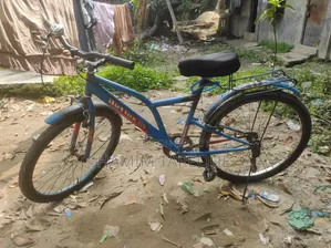 রিফ্লেক্স সাইকেল