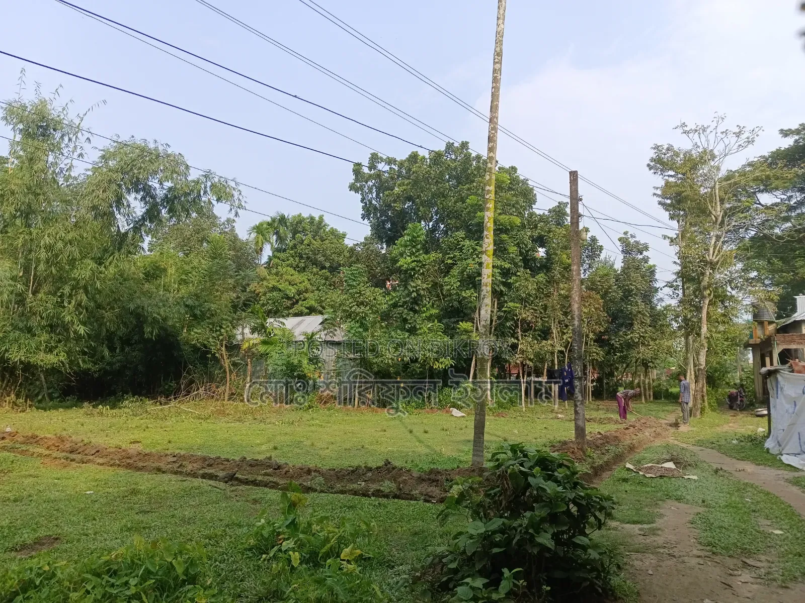 দুর্গাপুর পৌরসভার ভেতরে জমি বিক্রি হবে